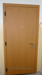 dveri_metallic20